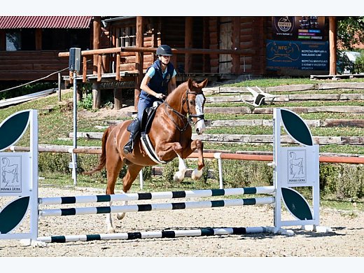 Responsible Equitation  Hunter