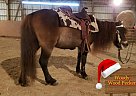 Safe Safe Christmas Pony Woody Wood Pecker