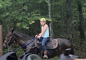 Tennessee Walking (Tennessee Walking, Gelding) in Waco, KY