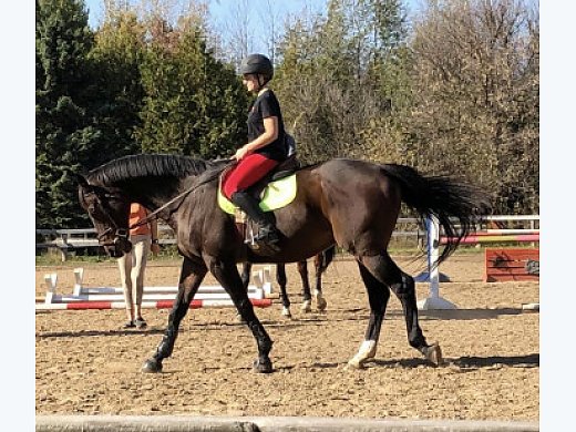 In Barn Free Lease