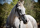 Magnolia - Mare in Smithville, TX Magnolia - Mare in Smithville, TX