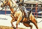Quarter Horse Mare for Sale in Langenburg, Saskatchewan Quarter Horse Mare for Sale in Langenburg, Saskatchewan