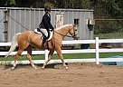 Quarter Horse - Horse for Sale in McDonald, PA 15057 Quarter Horse - Horse for Sale in McDonald, PA 15057