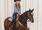 Quarter Horse - Horse for Sale in Thamesford, ON N0M 2M0 Quarter Horse - Horse for Sale in Thamesford, ON N0M 2M0