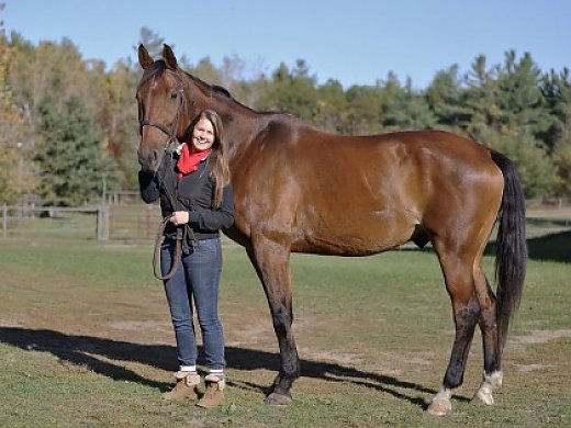 Hanoverian Cross for Part Board!