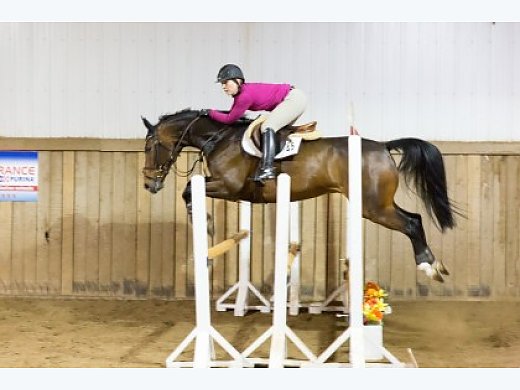 Sweet and Talented 15 Year old Needs new Home