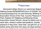 Been There Done That Walking Hor... Tennessee Walking Gelding