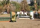 Lunar Eclipse Andalusian Mare