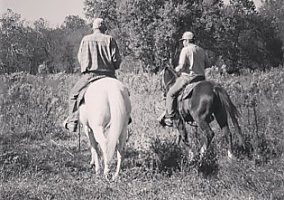 Missouri Fox Trotter (Missouri Fox Trotter, 18 yrs) in Cuba, MO