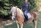 Willow - Mare in Byhaila, MS Willow - Mare in Byhaila, MS