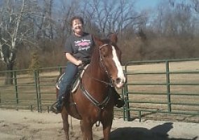 Needs a Job Quarter Horse Stallion