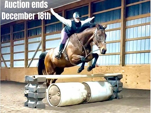 Jumps, Trails