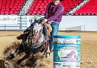 Paint - Horse for Sale in Tehachap, CA 93561 Paint - Horse for Sale in Tehachap, CA 93561
