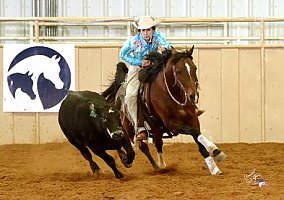 Arabian (Arabian, Gelding) in Seminole, OK