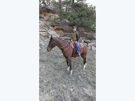 Wonderful 1st Premium Warmblood