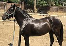 Catrina - Mare in Nuevo, CA Catrina - Mare in Nuevo, CA