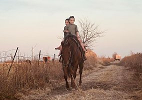Quarter Horse (Quarter Horse, Gelding) in Fairbank, IA