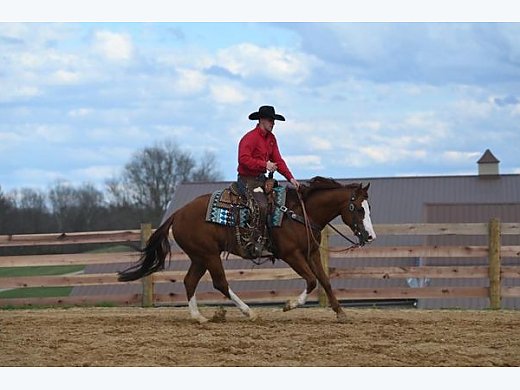 Show, Ranch, Trail Ready