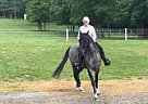 Blue TWH Blue