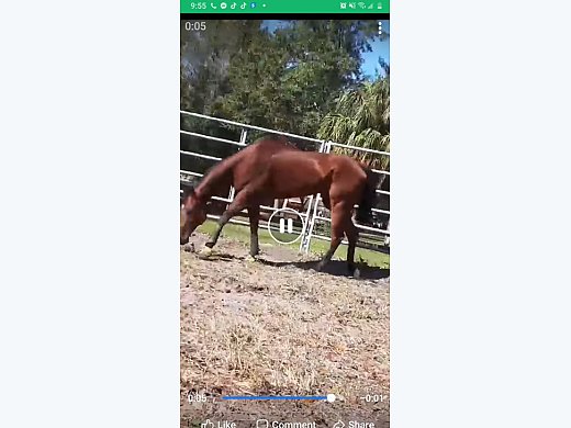 Appendix Available
