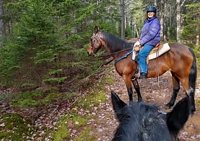 Racking Horse (Racking Horse, Mare) in Troy, ME