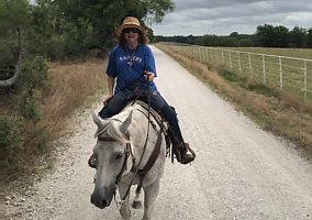 Quarter Horse (Quarter Horse, Gelding) in Waco, TX