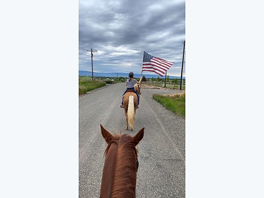 Palomino Mare