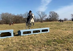 Appaloosa (Appaloosa, Mare) in St. George, KS