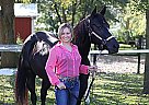 Quarter Horse - Horse for Sale in Monee, IL 60449 Quarter Horse - Horse for Sale in Monee, IL 60449