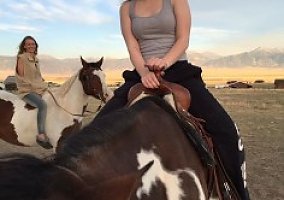 Arabian (Arabian, Mare) in Corvallis, MT