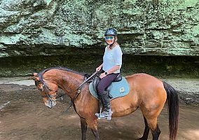 Trakehner (Trakehner, Mare) in Louisville, KY