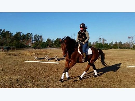 Cute, Extremely Talented, and Willing (Videos)