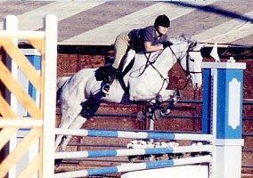 Thoroughbred (Thoroughbred, Mare) in Flagstaff, AZ