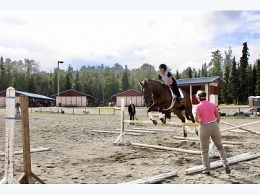 Dressage/Jumping Warmblood Lease