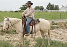 Cowgirl Quarter Horse Mare