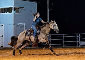 Quarter Horse (Quarter Horse, Gelding) in Aiken, SC