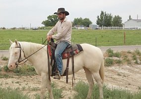 Cowgirl (Quarter Horse, Mare) in Powell, WY