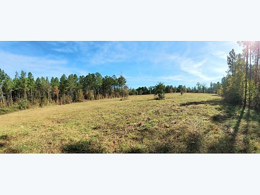 Beautiful 16+/- Acres