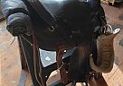 Circle Y Endurance Saddle 1990 Circle Y Horse Saddle in Colorado Springs, Colorado