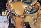 DP Quantum & Short/Light 2021 Other Horse Saddle in Sparta, Tennessee