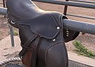 Good Little kid Starter Saddle 2000 Wintec Horse Saddle in Tucson, Arizona