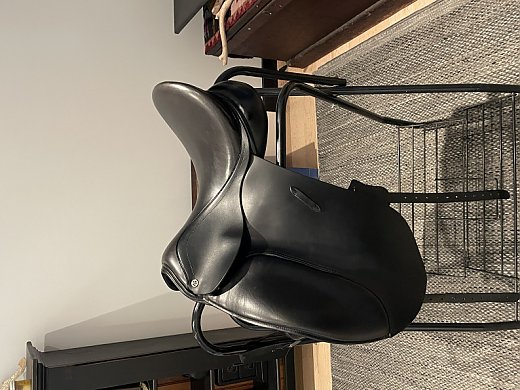 Dressage Saddle