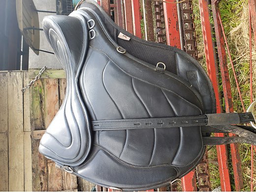 Freeform Treeless Saddle