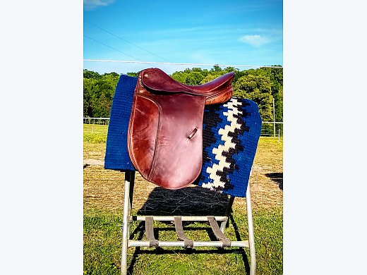 Cheap Dressage Saddle!!