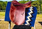 Cheap Dressage Saddle!! 2015 Other Horse Saddle in Advance, North Carolina