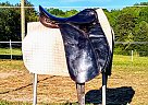 Fantastic Cheap Dressage Saddle 2015 Other Horse Saddle in Advance, North Carolina