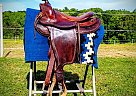 2010 Other Horse Saddle in Advance, North Carolina