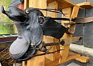 Childs Western Pony Saddle Childs Western Pony Saddle