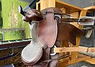 2021 Billy Cook Horse Saddle in Ithaca, New York