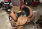 2016 Circle Y Horse Saddle in Summerfield, North Carolina